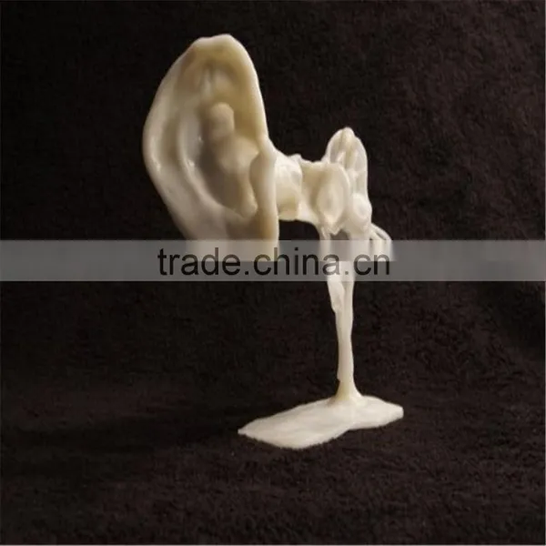 Hot Selling Non-toxic Reusable Friendly Shapelock Plastic Polymorph photo-6