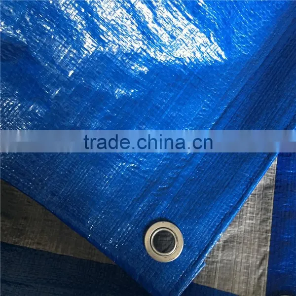 China Waterproof Polyethylene Lona Alquitranada photo-4