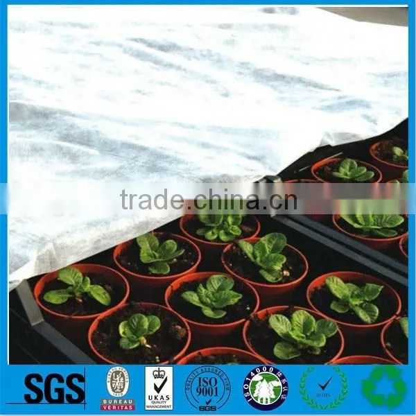 Nonwoven Fabric for Agriculture photo-2