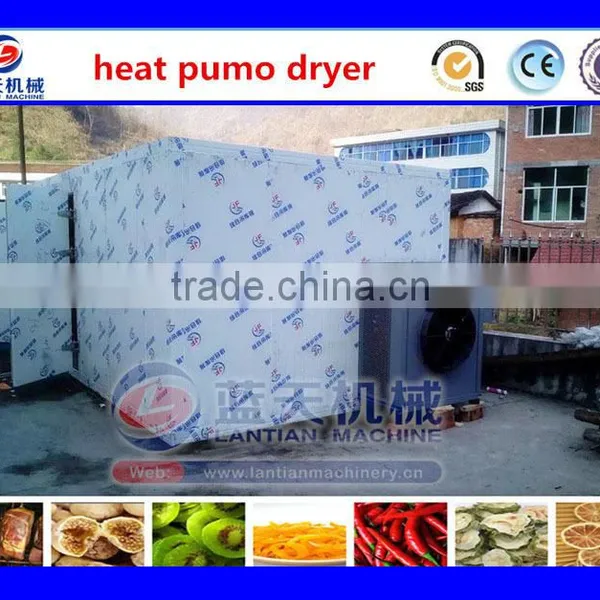 Hot Sale High Quality Dried Mango Processing Machine Drying Mango Dehydrator,Onion Drying Machine photo-4