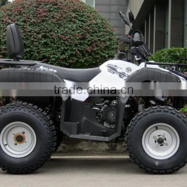 2017 New Rule EEC ATV/Automatic 200cc (T3) Approved Utility ATV Quad photo-5