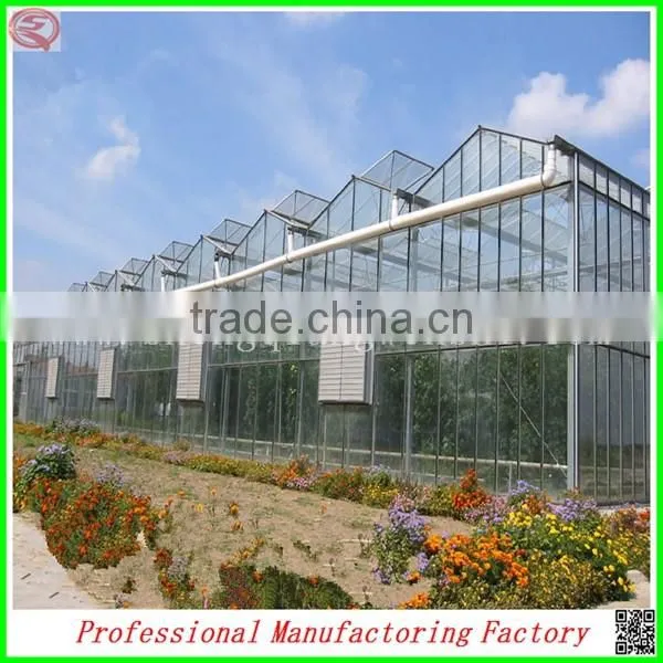 Commercial Steel Frame Venlo Polycarbonate Greenhouses With Irrigation System photo-6