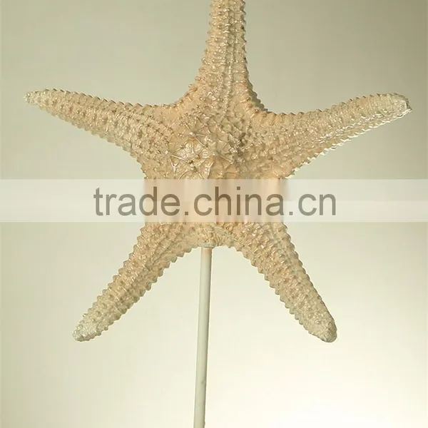 Custom Home Decor Art Artificial Starfish Statue photo-6
