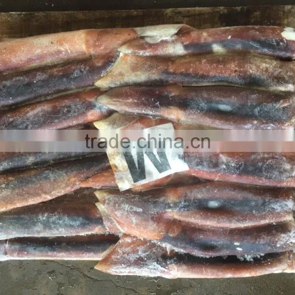 M Frozen Squid 200-300G Frozen Illex Squid photo-2