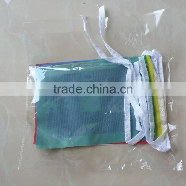 Cheap Design Polyester Bunting Flag photo-6