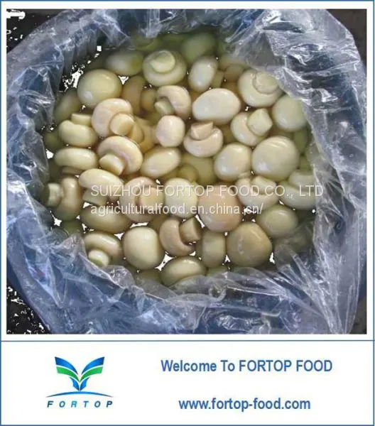 Factory Price Premium Brined Mushroom Whole in Drum