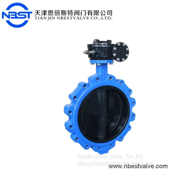 WLTD71X-10P Manufacturer the Whole Stainless Steel Worm Gear Lug Butterfly Valve photo-2