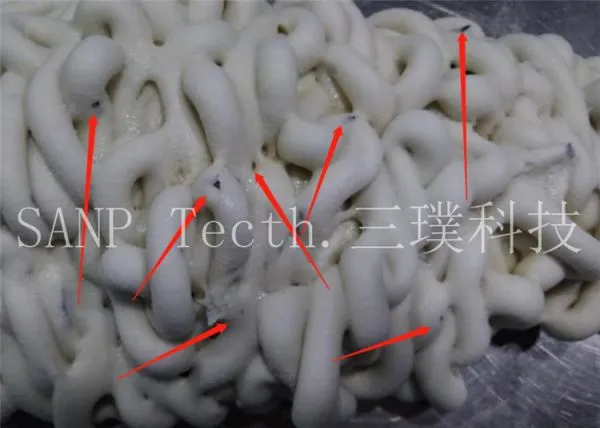 SANP Purging Compound for ABS Carbon Cleaning photo-2
