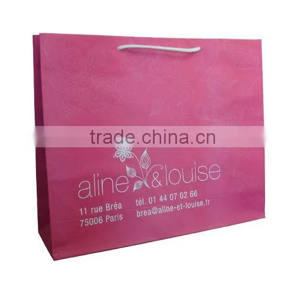 2015 Colourfully Printing Low Cost & Fashion Paper Bag photo-2