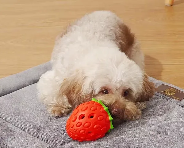 Strawberry Dog Chew Toys Rubber for Pet Teething Durable Dog Toys for Boring Puppy Teething Toys Pet Accessories photo-3