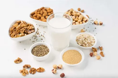 Protein Milk Production Line for Almonds photo-5