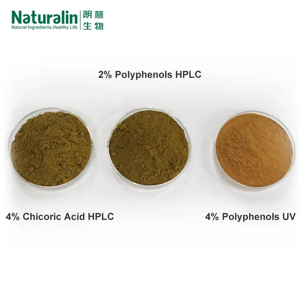 Echinacea Extract photo-3