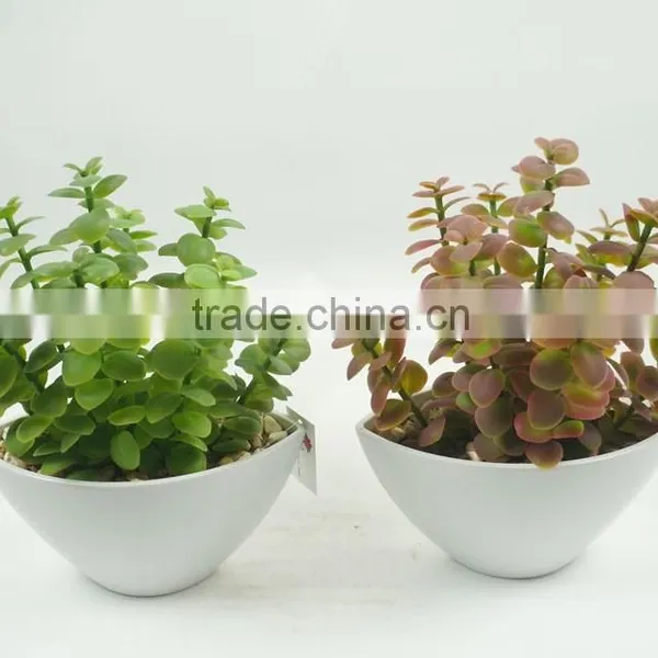 Artificial Potted Plant Artificial Plant Artificial Succulent Wholesale photo-3