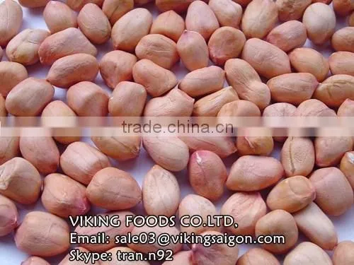 GROUNDNUTS/PEANUTS VIETNAM photo-2