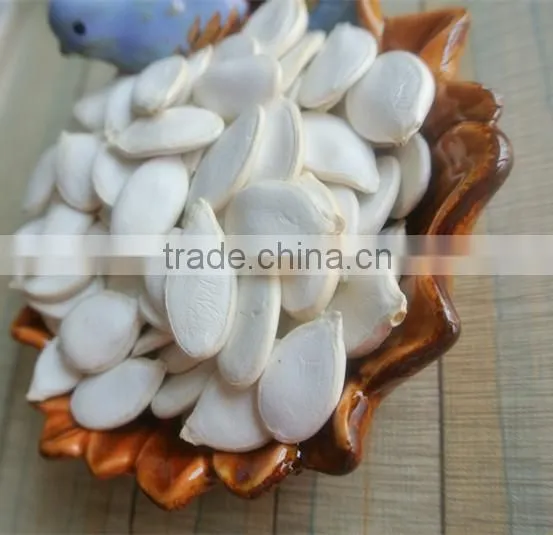 Snow White Pumpkin Seeds Directly From Our Own Factory photo-2