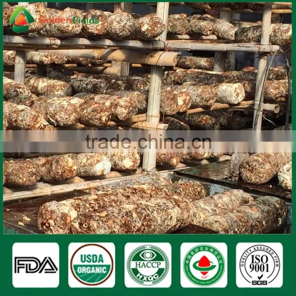 Mushroom Seller Fresh Dried Shiitake Mushroom Growing Log Shiitake Mushroom Spawn for Mushroom Farm photo-6