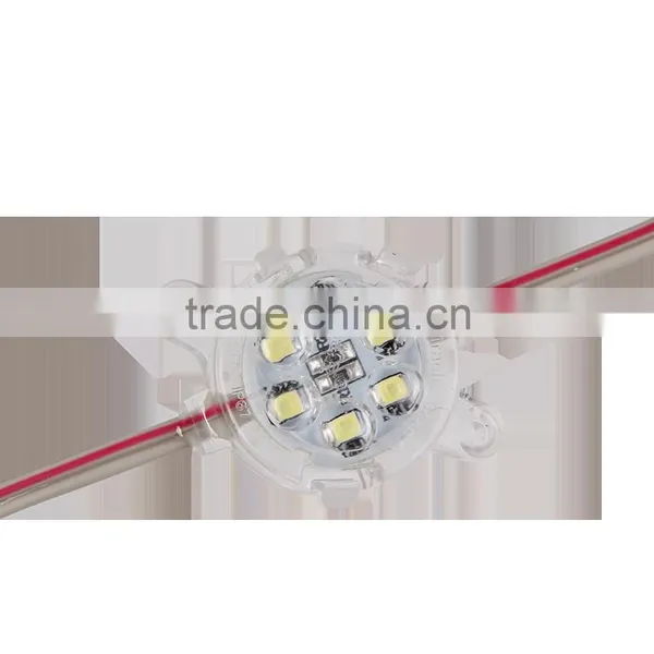 High Brightness DC24V SMD3528 6Pcs Waterproof IP67 Led Pixel For Led Lights photo-2