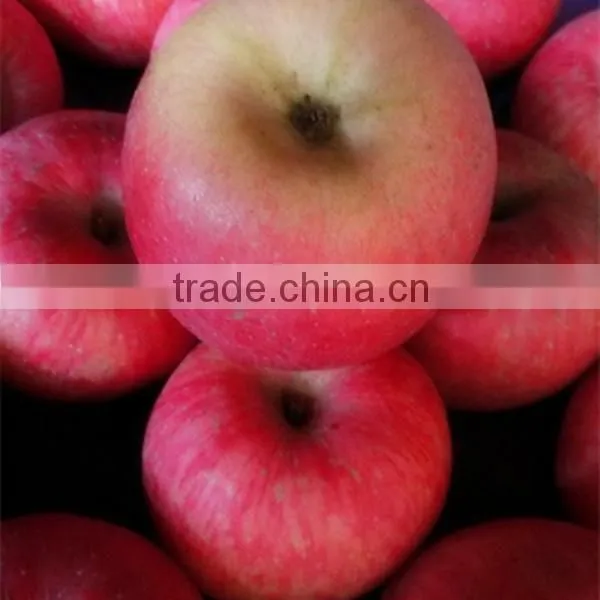 Fuji Apples Fresh Fuji Apple photo-4