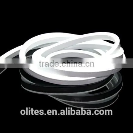 China 2016 12 LEDs/Unit Guangzhou Led Light Neon Light for Exhibition Show photo-5