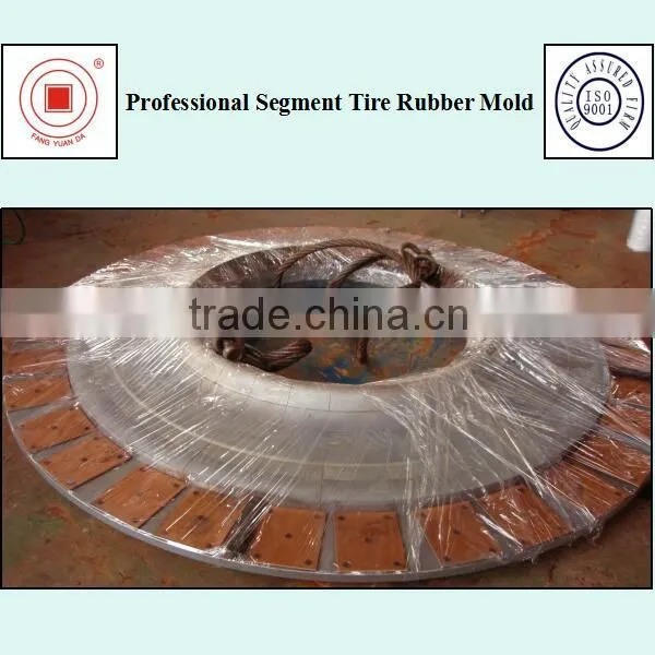 Professoional Segment Tire Rubber Mold photo-5