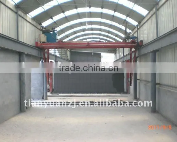 TOP Quality Aac Fly Ash Light Weight Block Making Machine for Sales - TIANYUAN BRAND photo-5