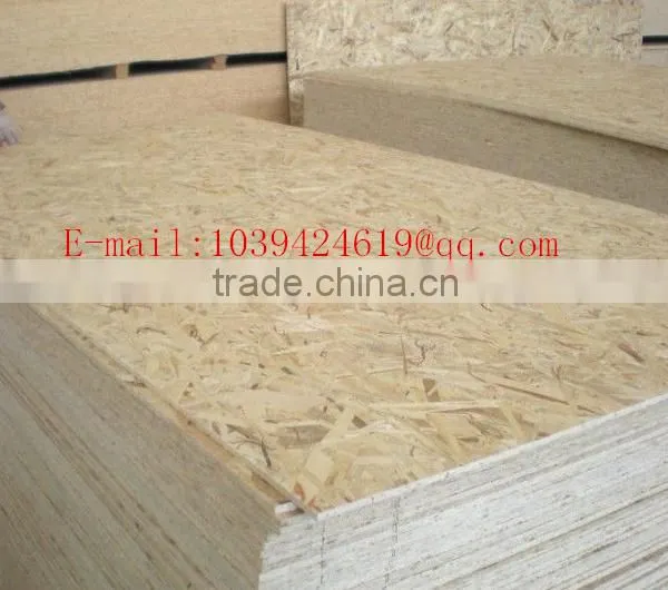 16.5mm E0 Osb Board in Best Price /8mmto30mmthickness Made in China photo-3