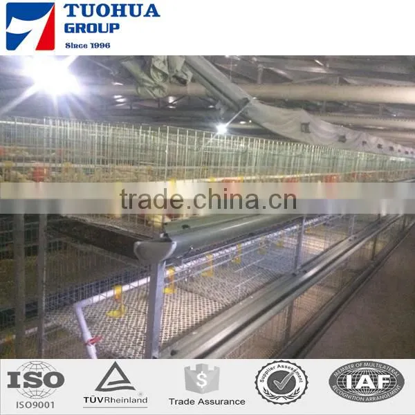 A Type Chicken Cage,layer Poultry Cages for Kenya Farms photo-4