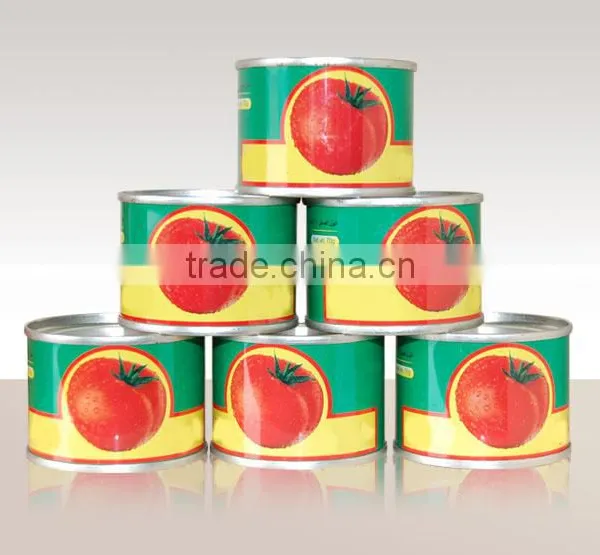 OEM ODM Cheap Ketchup Export Africa 210g 400g 800g 2.2kg Tomato Paste Canned Tomato Sauce photo-5