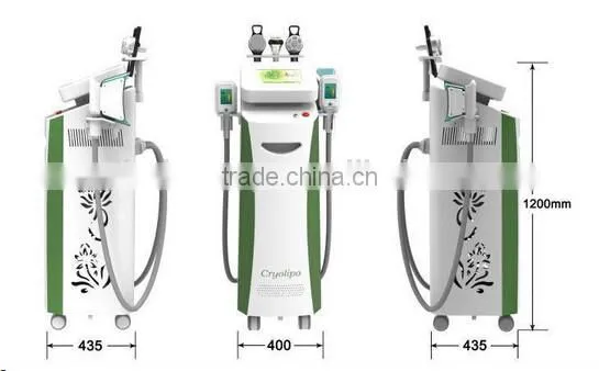 2016 Golden Manufactures! Cryolipolysis 220 / 110V Fat Freeze Slimming Machine Vertical photo-3