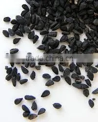 Yellow Onion Seeds photo-6