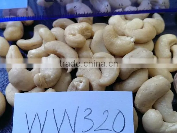 VIETNAM CASHEW NUTS W320 BEST PRICE
