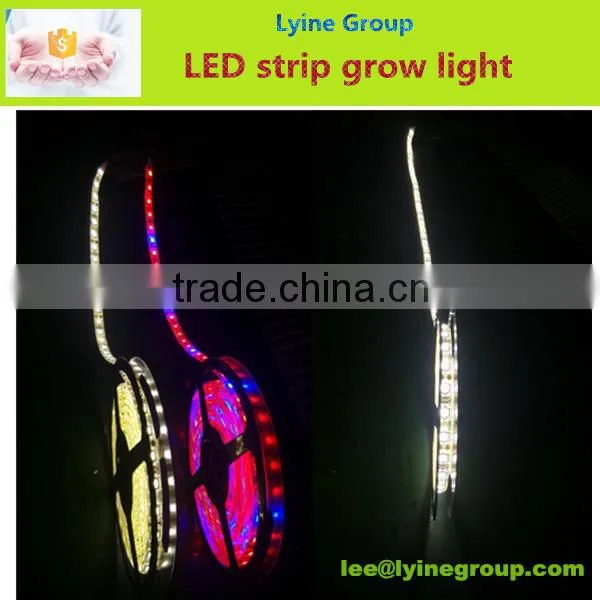 IP65 Waterproof 12V/220V RGB Multi Color led strip 5050