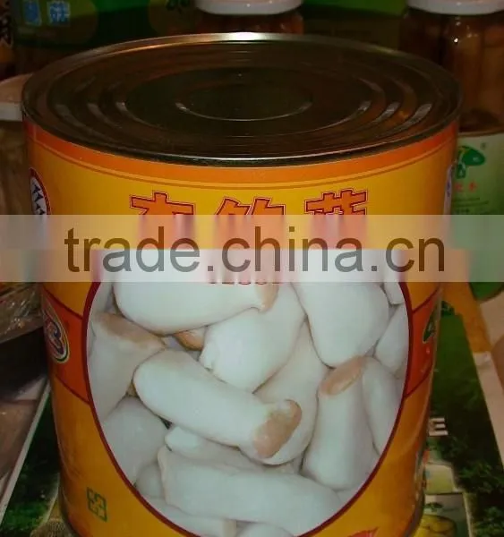 Canned Pleurotus Eryngii photo-6