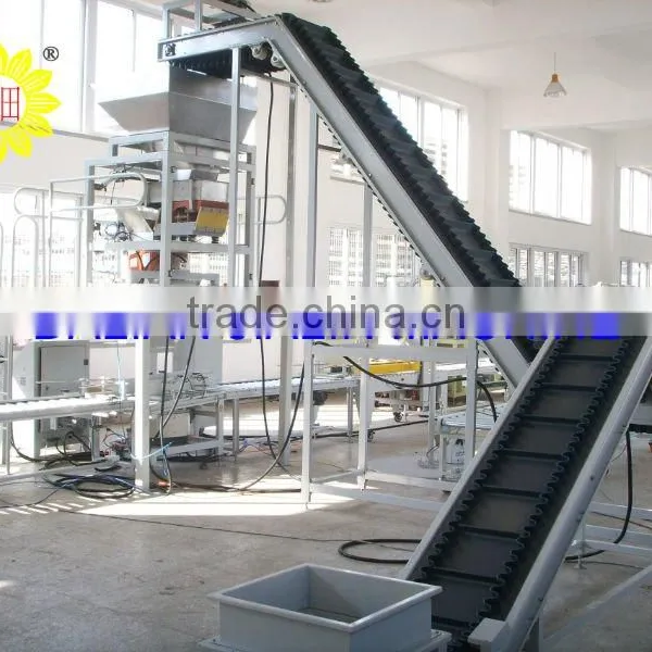 Belt Conveyor photo-2