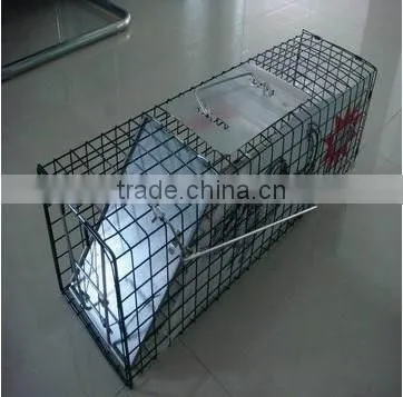 Collapsible Human Animal Trap Cage