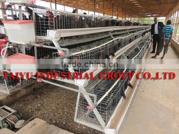 TAIYU Kinds of Feeder for Poultry Farm