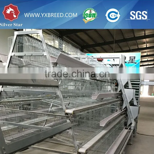 2.15m 3 Tiers Layer Chicken Cage for Poultry photo-2