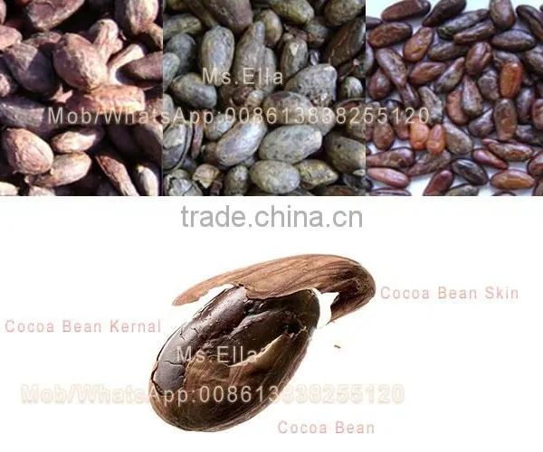 Automatic Roasted Cacao Nib Peeler Roasted Coffee Husk Peeler Machine photo-2