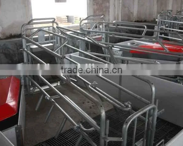 Farrow Crate/pig Farm Farrow Crate/pig Farm Equipmnet/pig Farm Stall/farrow Crate House photo-2