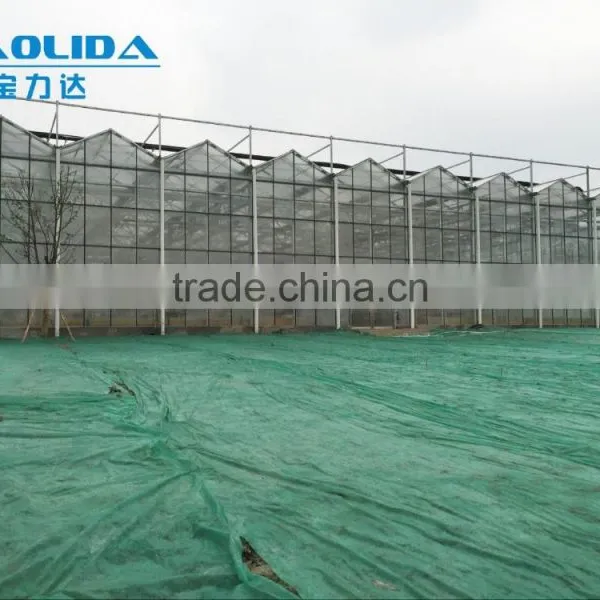 BLD Large Multi-span Plastic Film Greenhouse and Galvanized Steel Frame Greenhouse Kit photo-5
