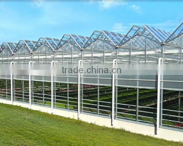 Factory Price PC Sheet Covered Agricultural Greenhouse For Vegetable Seeds photo-3