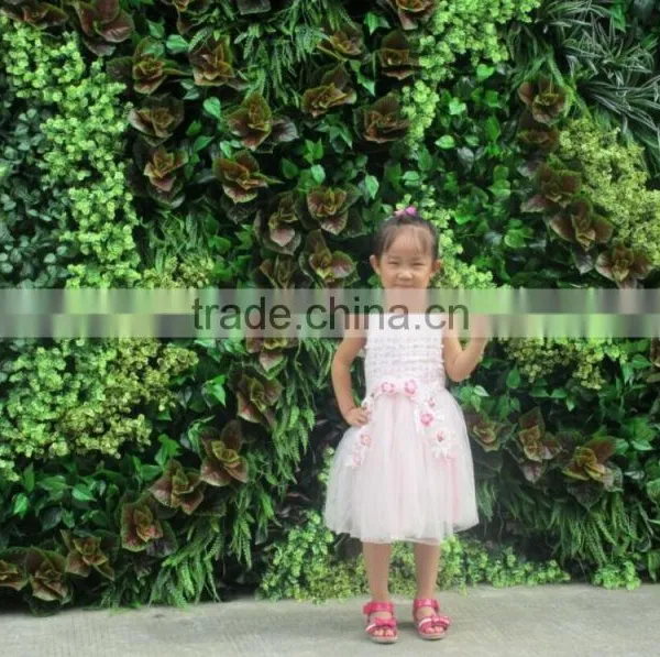 2016 New Line Green Wall for Fashion Show Plants Green Wall photo-4