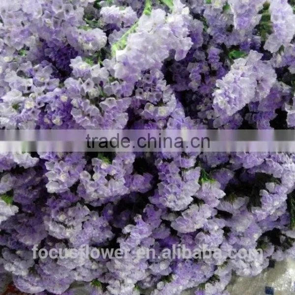 Real Touch Flowers Wholesale Cut Flowers Statice Wedding Flowers photo-4