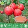 Hawthorn Extract