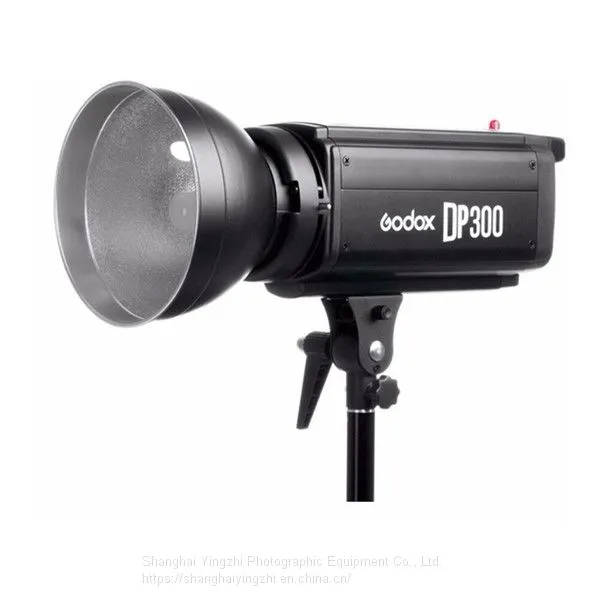 Godox DP300 Photography Studio Strobe Flash Light Power 110V/220V Light Lamp Head For Camera Studio photo-3