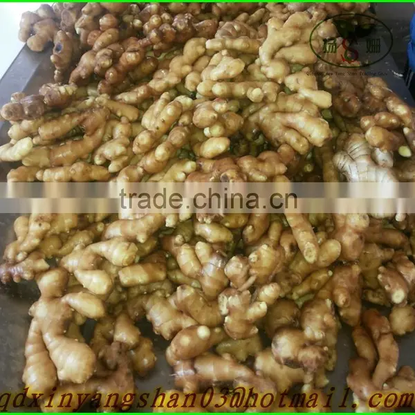 2015 NEW GARLIC/Fresh Garlic/White Garlic/china Garlic photo-5