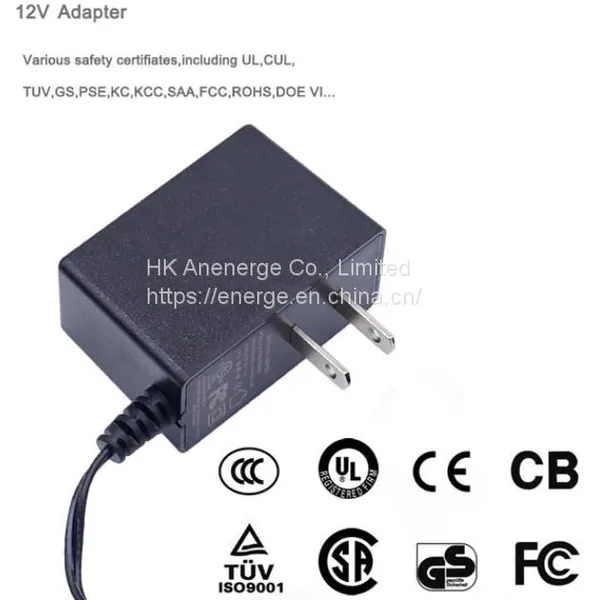 Factory Custom12Vdc 1A Power Adapter 120W Battery Charger Beauty Instrument Power Supply photo-3