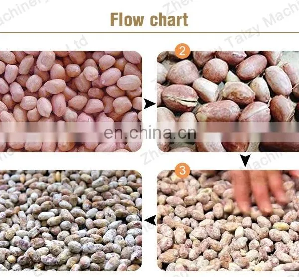 Peanut Processing Machines Roasting Peanut Machine Peanut Flour Coating Machine photo-4