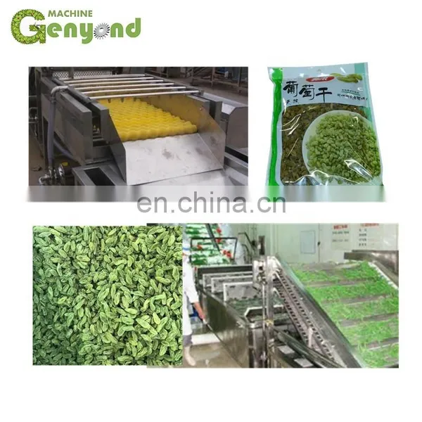 Plant for Raisin /dried Grapes Processing Machine photo-2