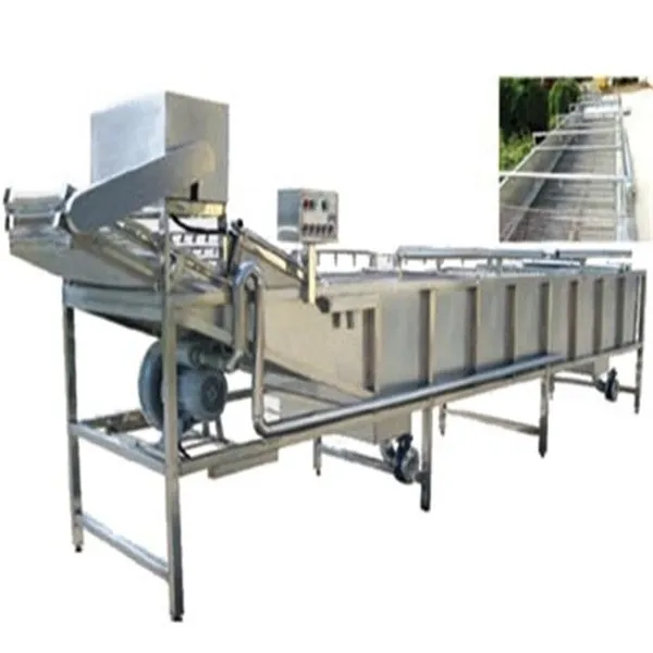 Complete Canned Mushroom Production Line photo-4